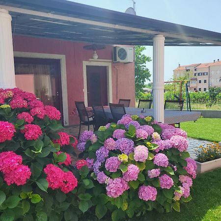 Apartments Dragica بوريتش المظهر الخارجي الصورة