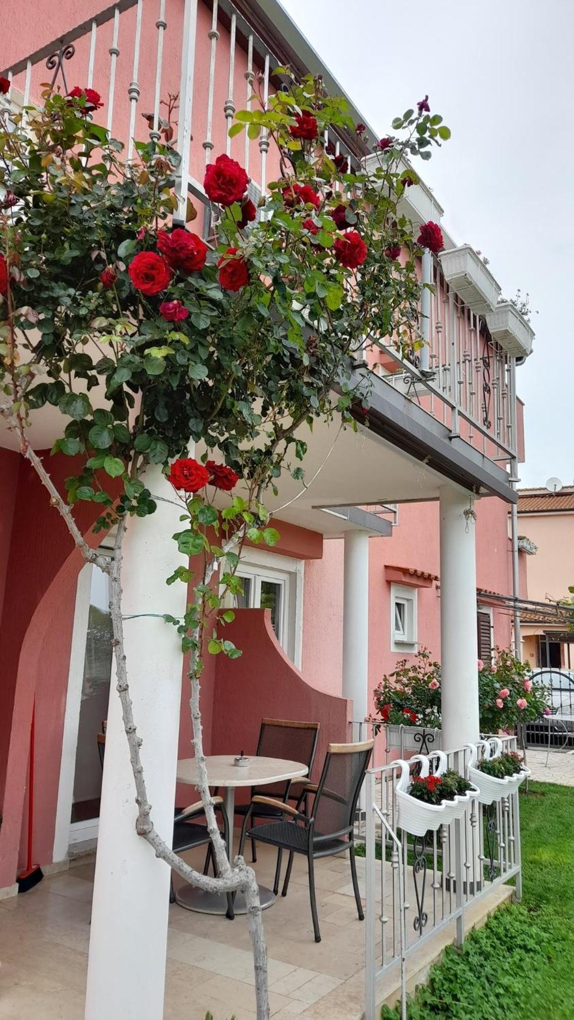 Apartments Dragica بوريتش المظهر الخارجي الصورة