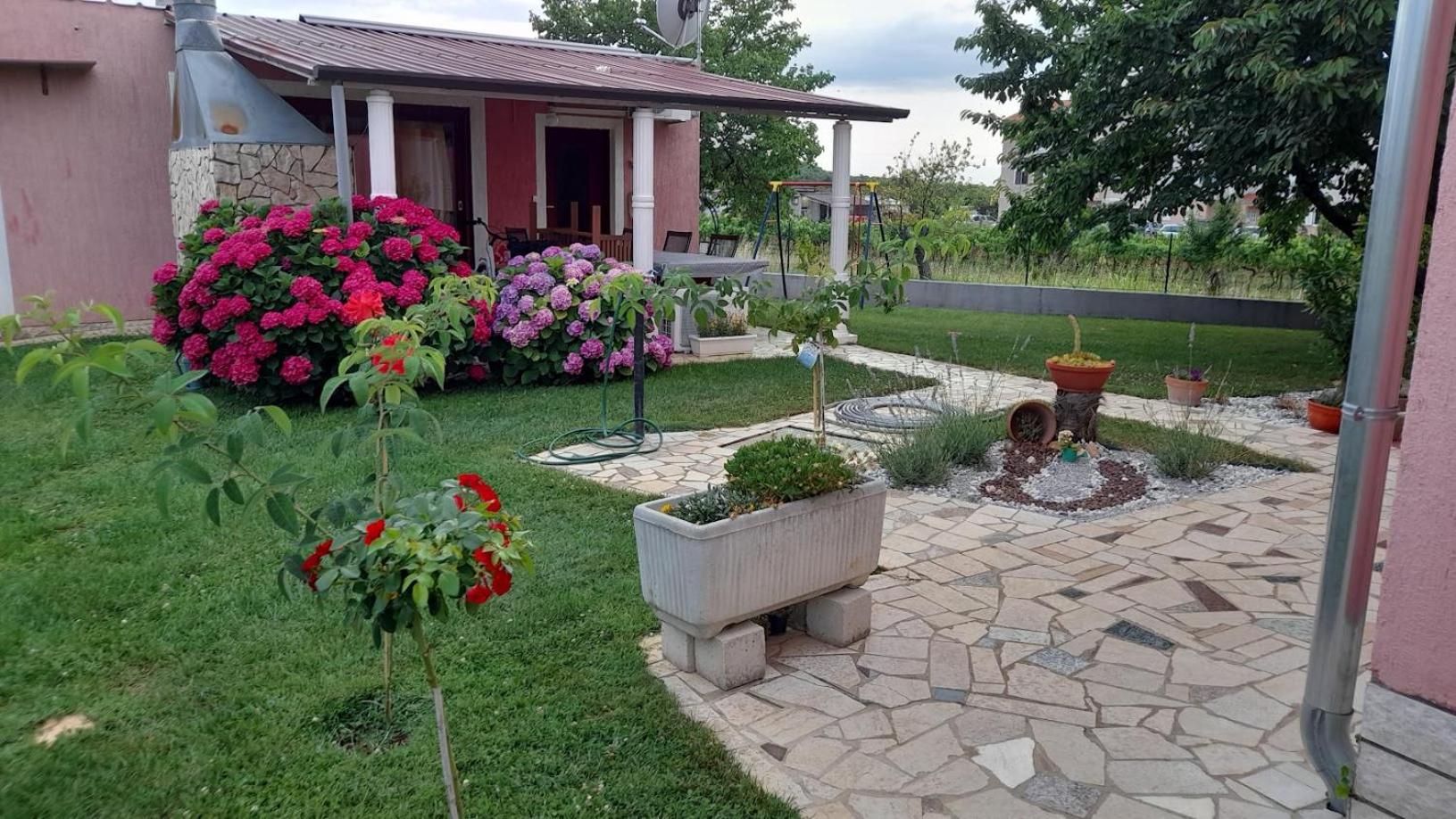 Apartments Dragica بوريتش المظهر الخارجي الصورة