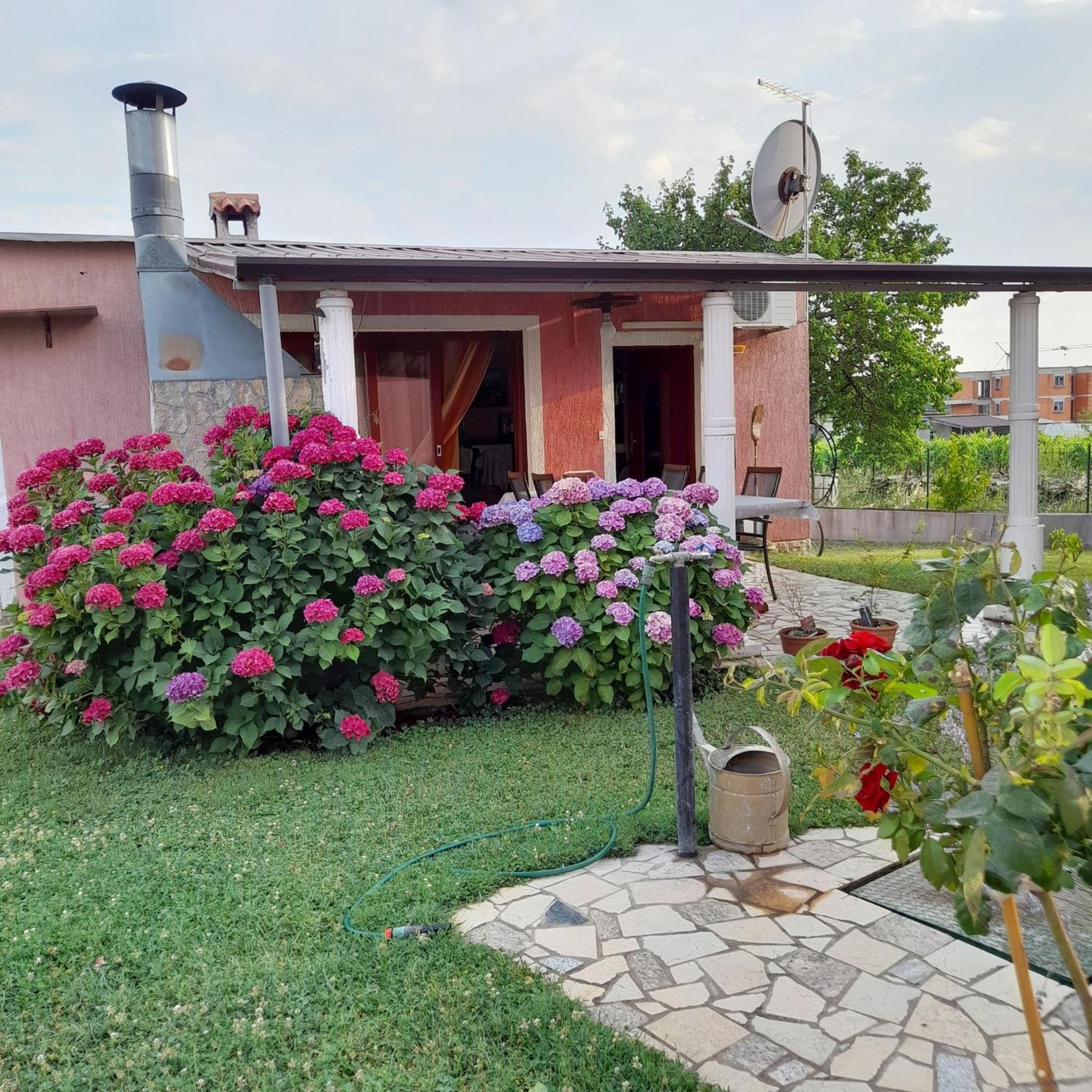 Apartments Dragica بوريتش المظهر الخارجي الصورة