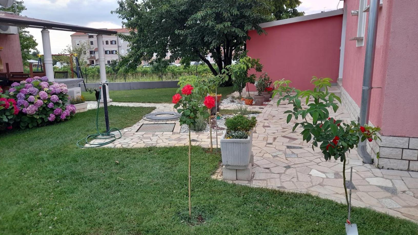 Apartments Dragica بوريتش المظهر الخارجي الصورة