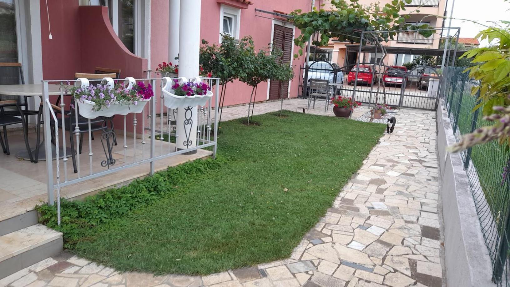 Apartments Dragica بوريتش المظهر الخارجي الصورة